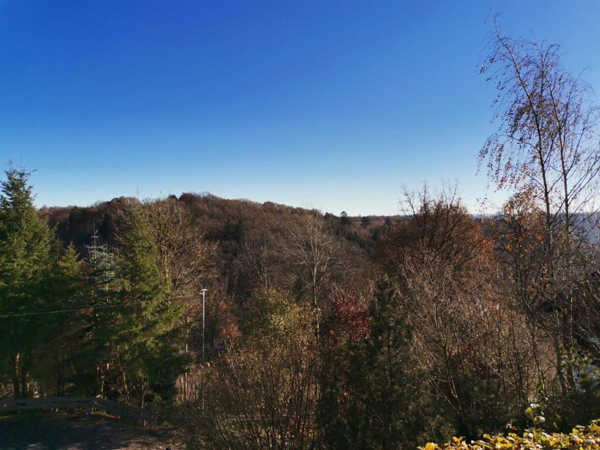 Fewo In Monschau Bagian luar foto