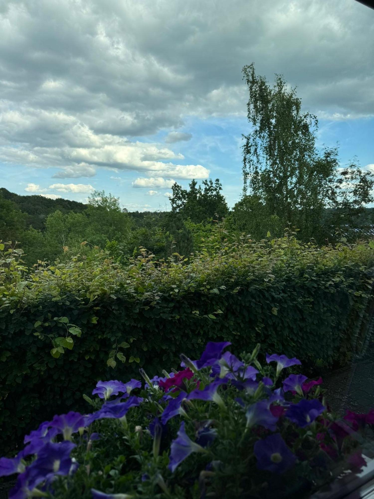 Fewo In Monschau Bagian luar foto